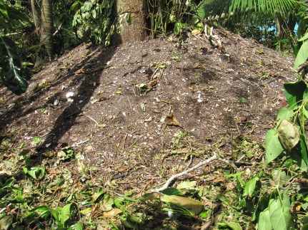 A Palau Megapode mound