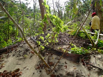 cropped-typhoon-damaged-mound1.jpg