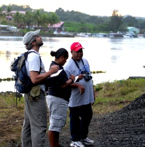 Palau birding
